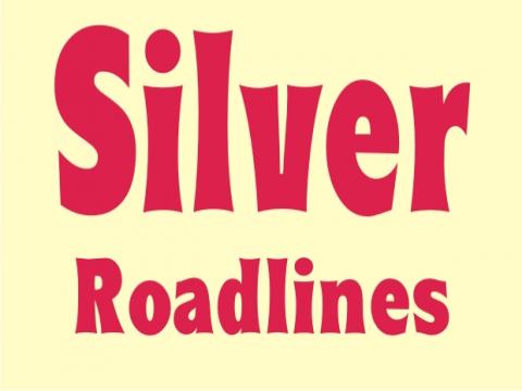 Silver Roadlines